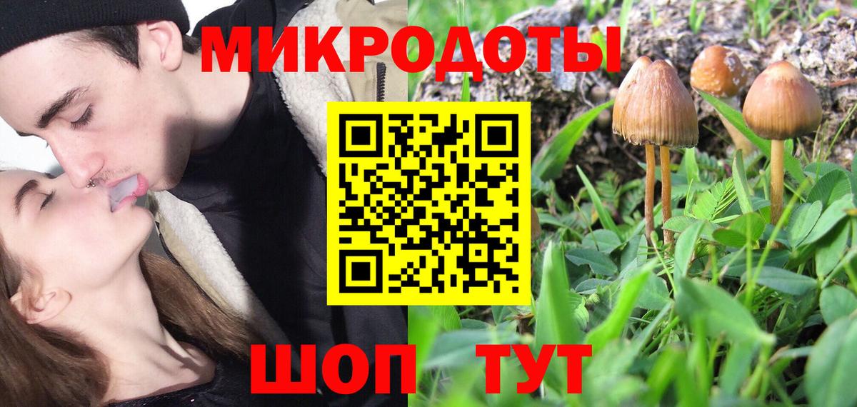 Сосновоборск  Псилоцибиновые грибы прущие грибы  Вход с VPN 