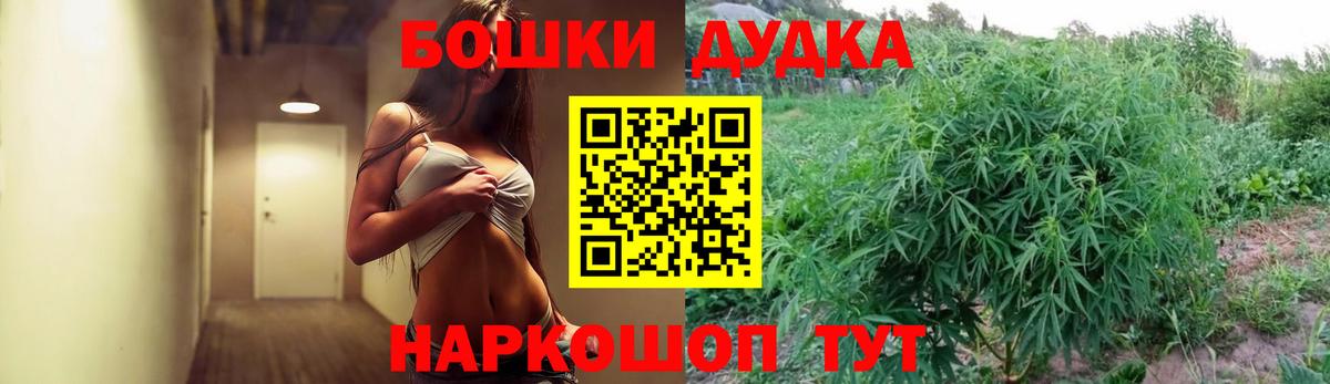 Шишки марихуана тримм  Вход с VPN  Бошки марихуана планчик  Сосновоборск 