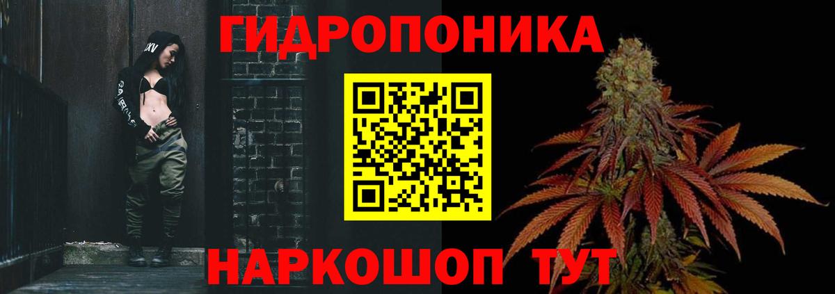 Бошки марихуана конопля Сосновоборск